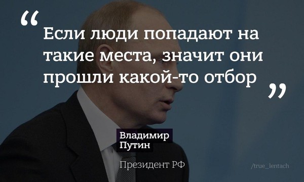 О Зеленском