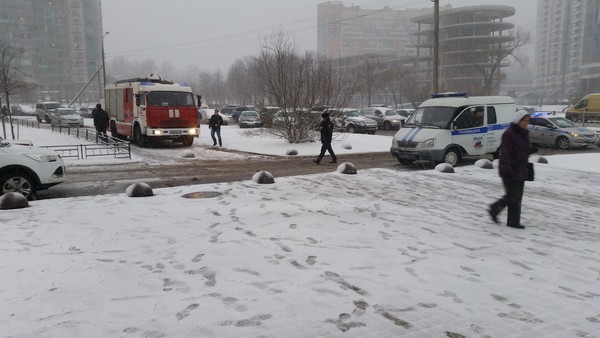 Фото: Кирилл Збитнев