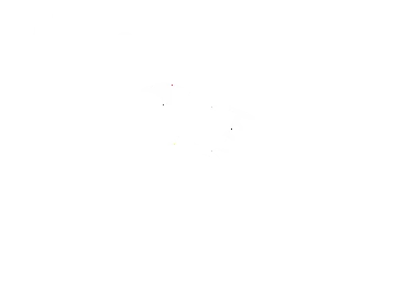 Official selection — VR category, Japan World Film Festival